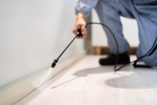 Licensed Pest Control service in Harbor Beach, MI - Show Me Pest Control